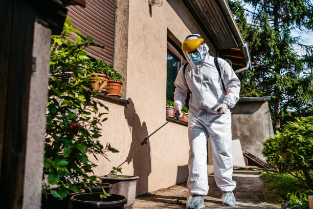 Best Emergency Pest Control  in Wabasso Beach, FL