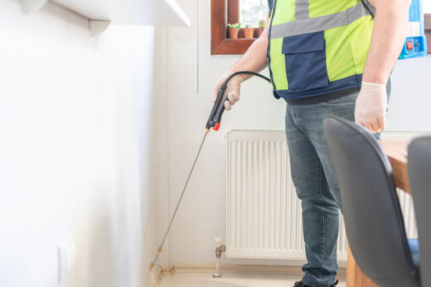 Best Local Pest Control Services  in Wabasso Beach, FL