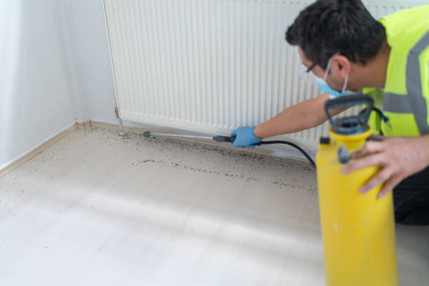 Best Pest Control Cost  in Wabasso Beach, FL
