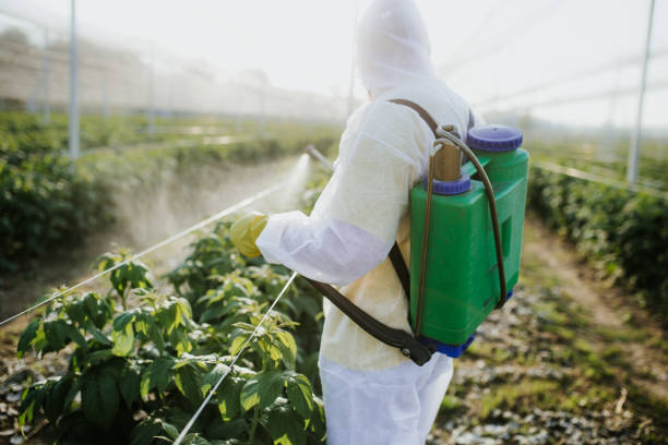 Wabasso Beach, FL Pest Control Company